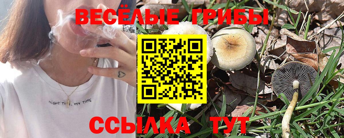 Грозный  Псилоцибиновые грибы GOLDEN TEACHER  Вход с VPN 