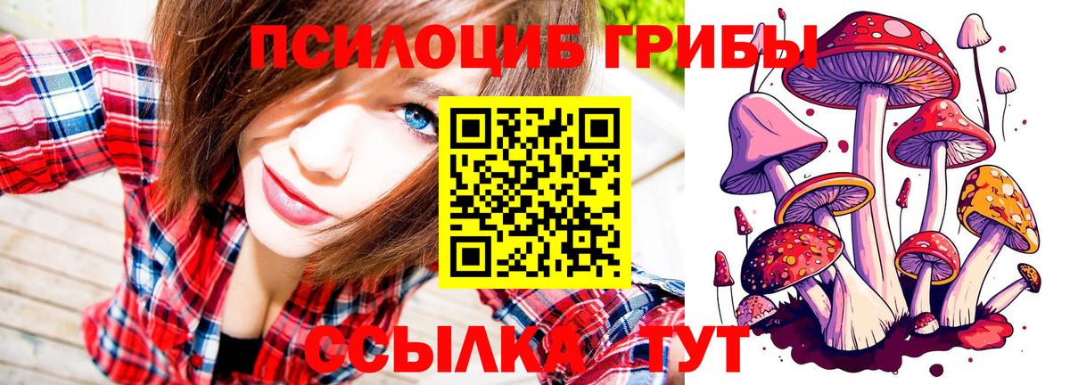 Галлюциногенные грибы Cubensis Грозный